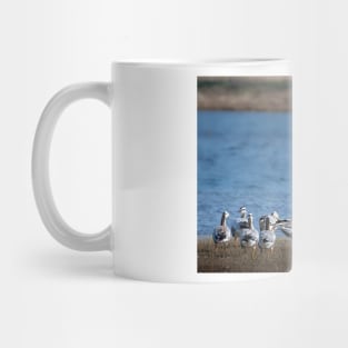 Quacking Currents Mug